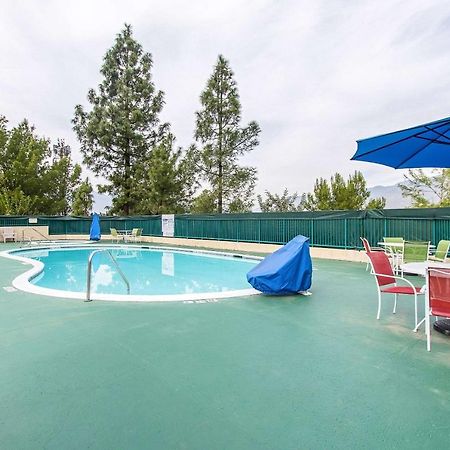 San Bernandino Inn & Suites San Bernardino Eksteriør bilde